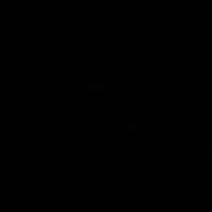 Meet your Posher, Waynelle